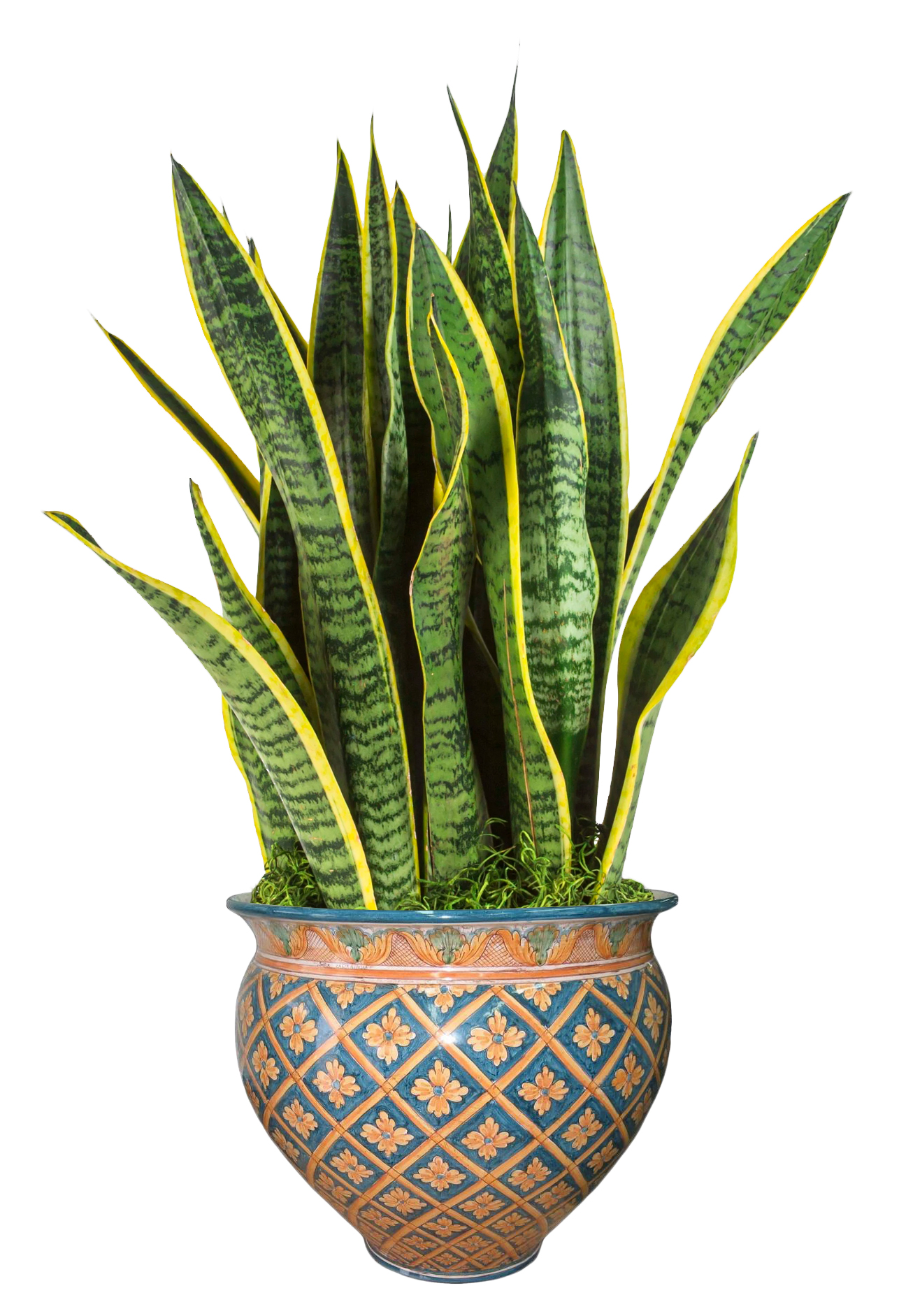 Italian ceramic planter handcrafted in Caltagirone, Sicily, by Ceramiche Sofia.